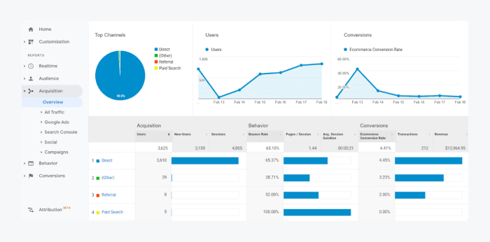 Acquisition tab in Google Analytics that shows which social media platforms, industry blogs, and forums your visitors come from.