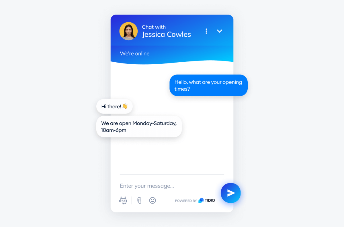 example of tidio chatbot