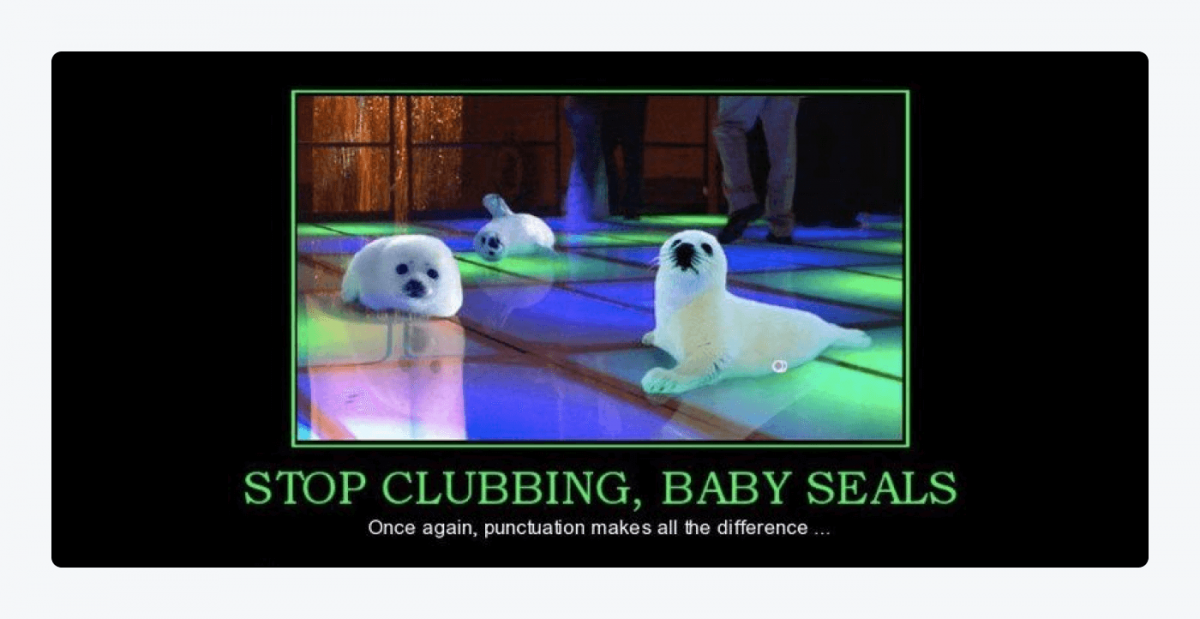 Gif with baby seals