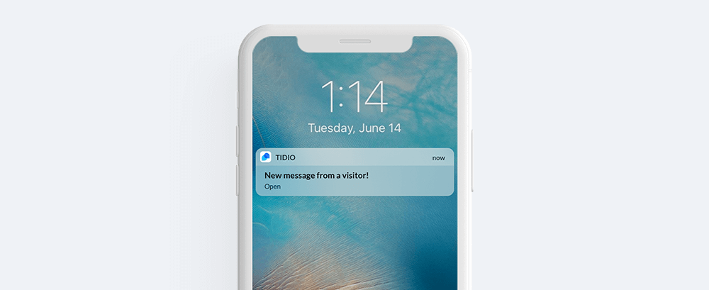 Tidio notifications
