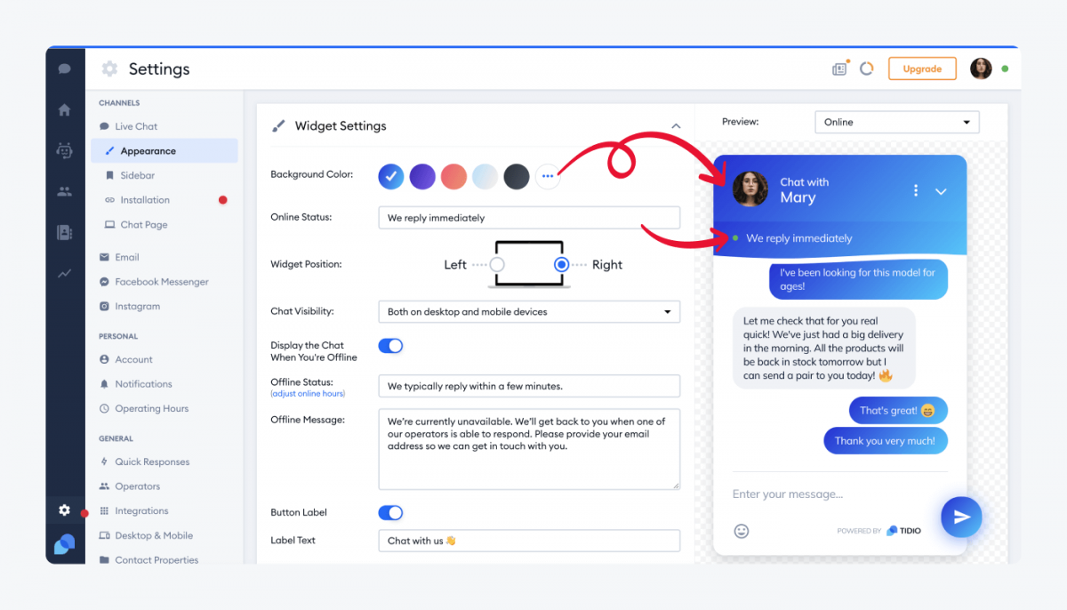 Tidio's settings panel